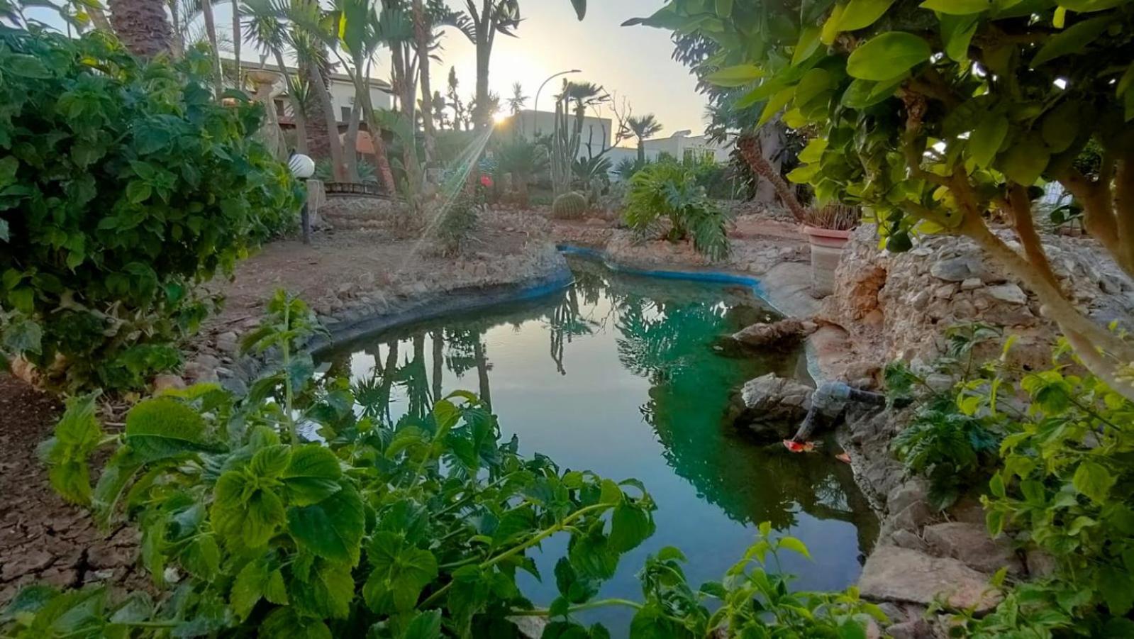 Apartamento Stella Del Mare San Vito Lo Capo Exterior foto